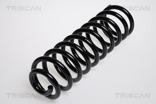 Spiralfjäder bak från TRISCAN