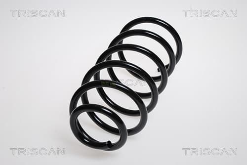 Spiralfjäder fram från TRISCAN
