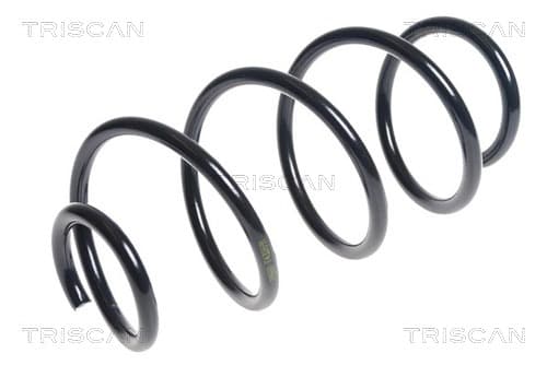 Spiralfjäder fram från TRISCAN