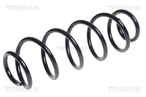 Spiralfjäder bak från TRISCAN