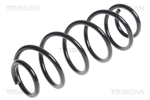 Spiralfjäder bak från TRISCAN