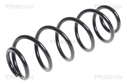 Spiralfjäder bak från TRISCAN