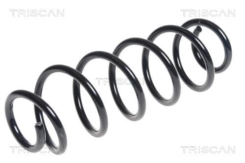 Spiralfjäder bak från TRISCAN