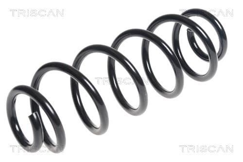 Spiralfjäder bak från TRISCAN