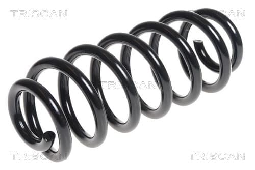 Spiralfjäder bak från TRISCAN