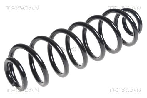 Spiralfjäder bak från TRISCAN