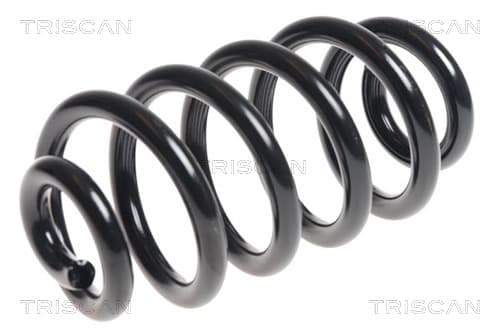 Spiralfjäder bak från TRISCAN