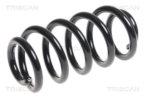 Spiralfjäder fram från TRISCAN