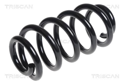 Spiralfjäder fram från TRISCAN