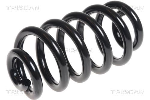 Spiralfjäder bak från TRISCAN