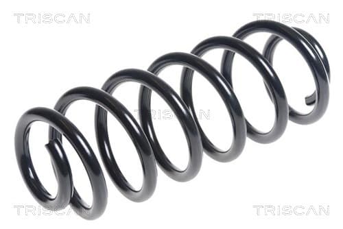 Spiralfjäder bak från TRISCAN
