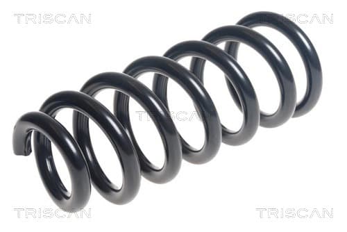 Spiralfjäder fram från TRISCAN