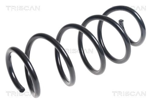 Spiralfjäder fram från TRISCAN