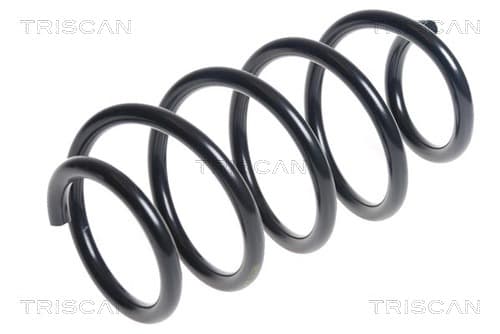 Spiralfjäder fram från TRISCAN