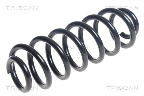 Spiralfjäder bak från TRISCAN