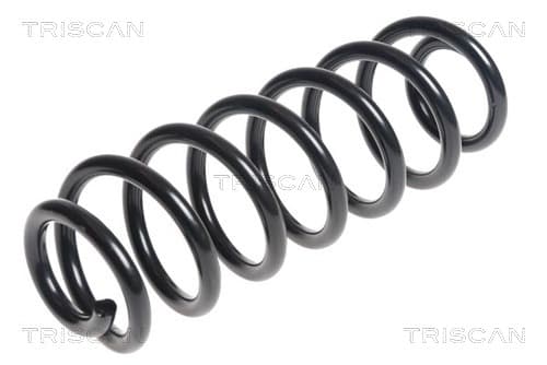 Spiralfjäder bak från TRISCAN