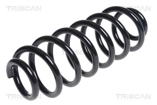 Spiralfjäder bak från TRISCAN