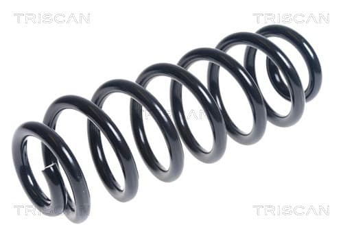 Spiralfjäder bak från TRISCAN