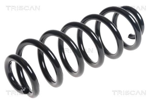 Spiralfjäder bak från TRISCAN