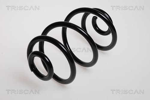 Spiralfjäder bak från TRISCAN