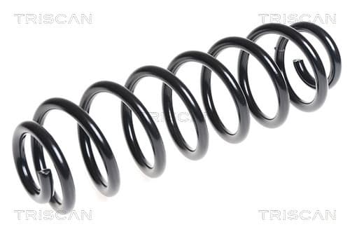 Spiralfjäder bak från TRISCAN