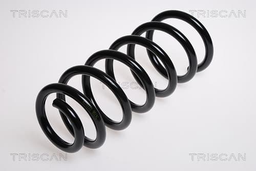 Spiralfjäder bak från TRISCAN