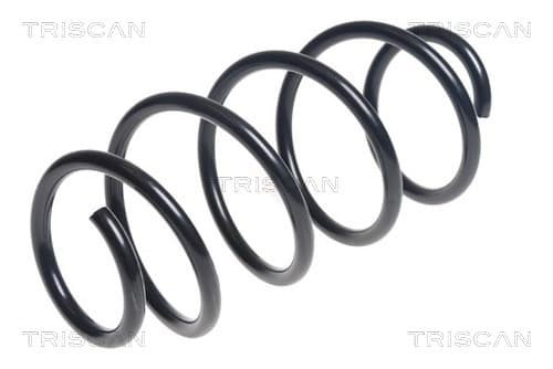 Spiralfjäder fram från TRISCAN