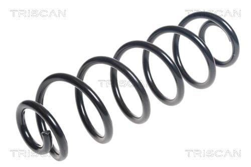 Spiralfjäder bak från TRISCAN