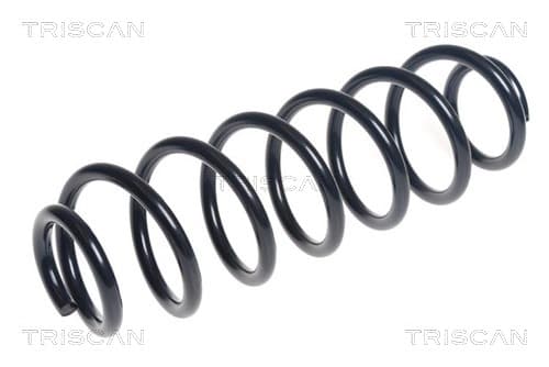 Spiralfjäder bak från TRISCAN