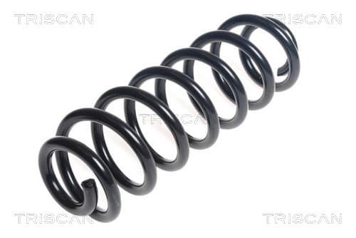 Spiralfjäder bak från TRISCAN