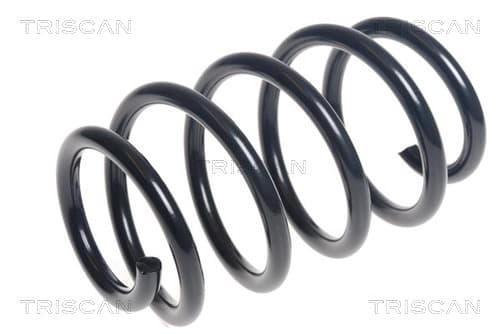 Spiralfjäder fram från TRISCAN