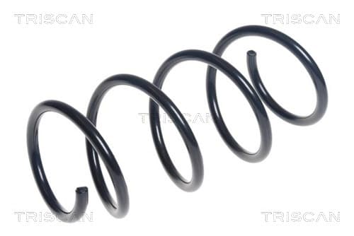 Spiralfjäder fram från TRISCAN