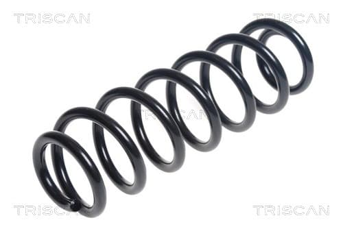 Spiralfjäder bak från TRISCAN