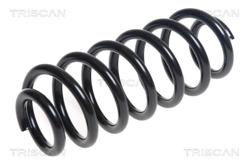 Spiralfjäder bak från TRISCAN