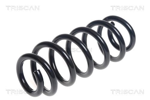 Spiralfjäder bak från TRISCAN