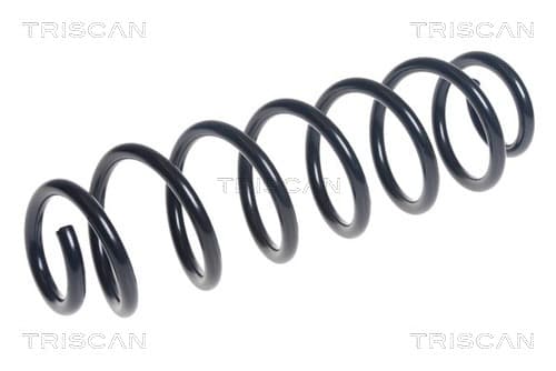 Spiralfjäder bak från TRISCAN