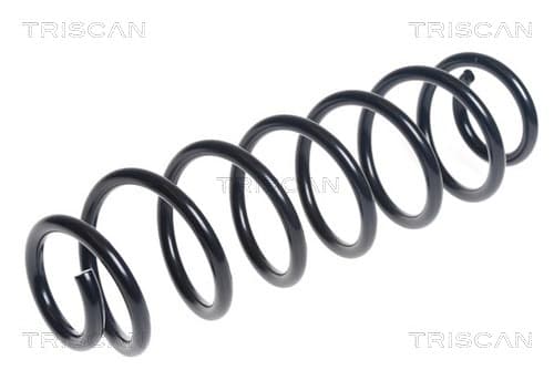 Spiralfjäder bak från TRISCAN