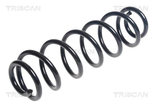 Spiralfjäder bak från TRISCAN
