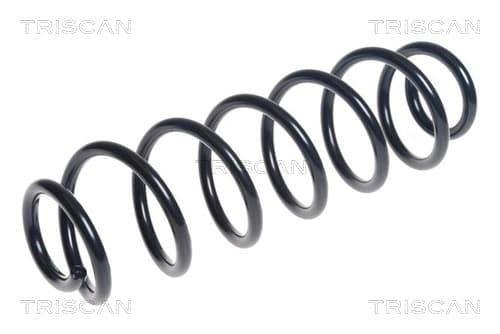 Spiralfjäder bak från TRISCAN