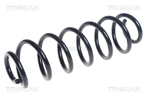 Spiralfjäder bak från TRISCAN
