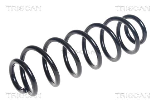 Spiralfjäder bak från TRISCAN