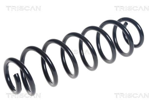 Spiralfjäder bak från TRISCAN