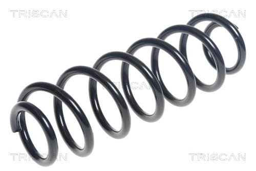 Spiralfjäder bak från TRISCAN