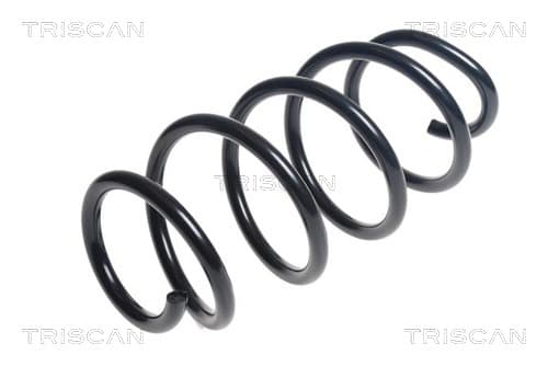 Spiralfjäder fram från TRISCAN
