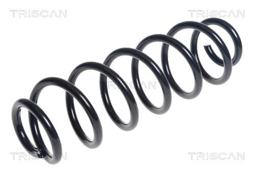 Spiralfjäder bak från TRISCAN