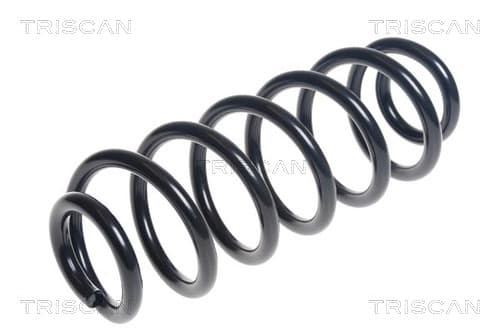 Spiralfjäder fram från TRISCAN