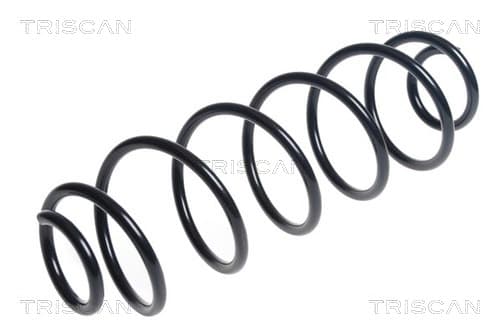 Spiralfjäder fram från TRISCAN