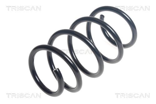 Spiralfjäder fram från TRISCAN