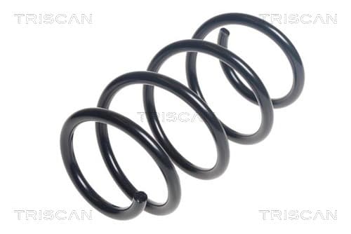 Spiralfjäder fram från TRISCAN