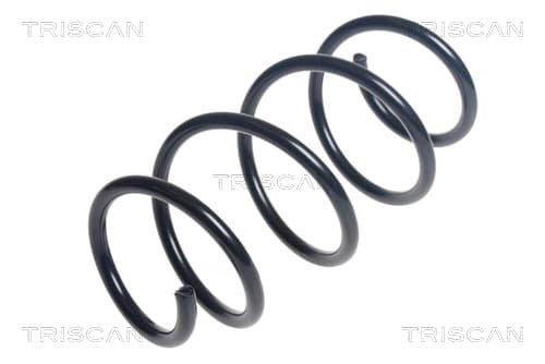 Spiralfjäder fram från TRISCAN